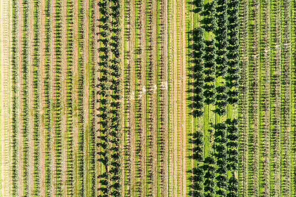 Ispezioni con drone